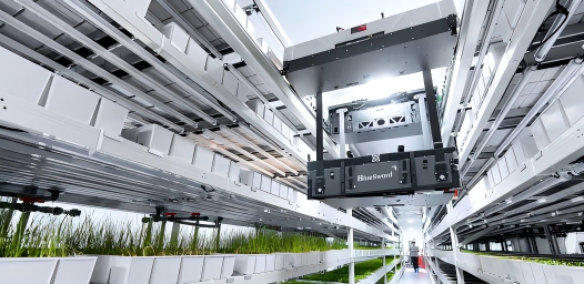 material handling automation.png