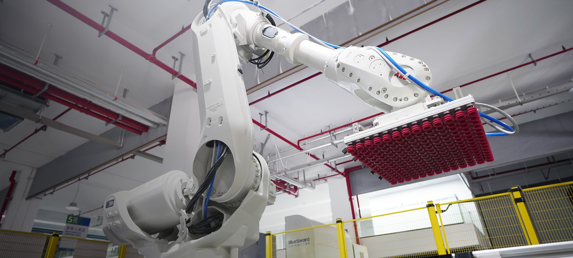 BlueSword Palletizing and Depalletizing Robot