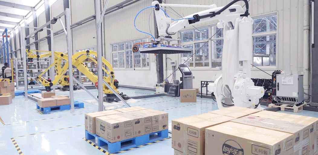 BlueSword Palletizing and Depalletizing Robot