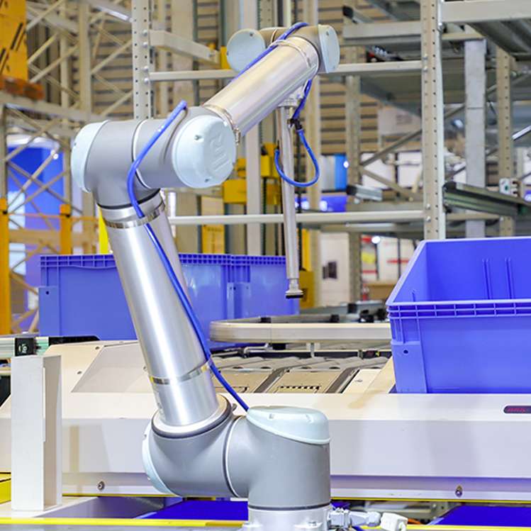 Collaborative Robotic Arm Picker