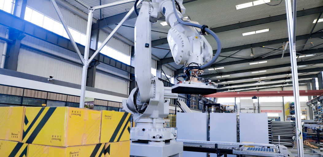 Palletizing and Depalletizing Robot