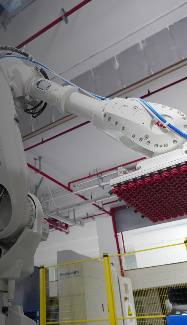 Palletizing and Depalletizing Robot