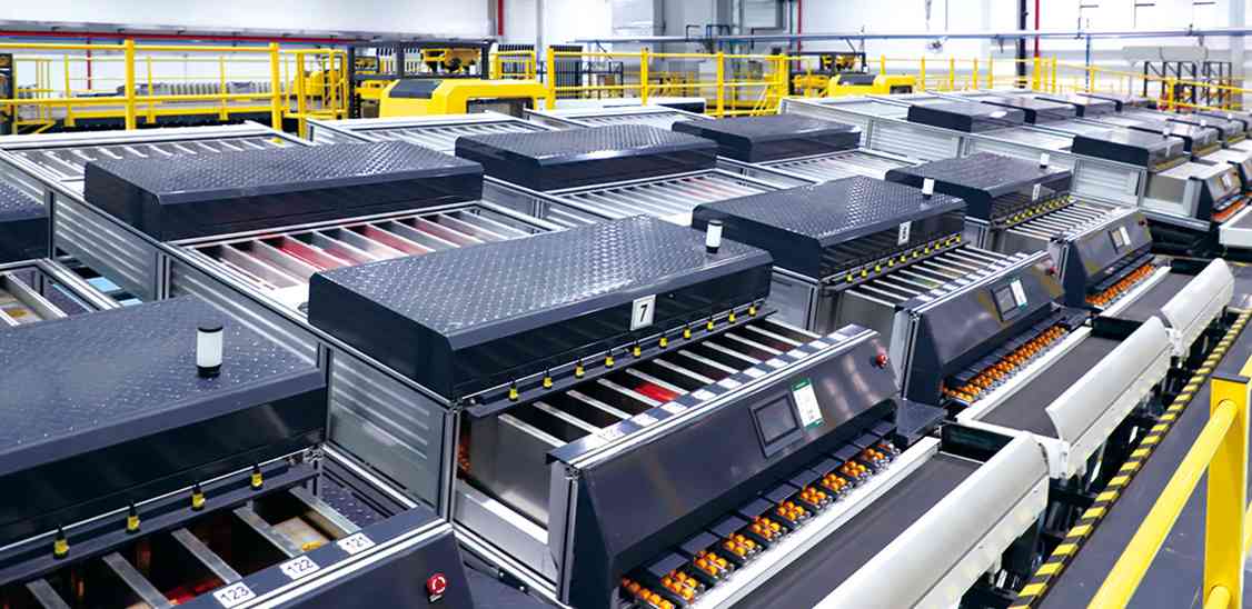 Picking and Sorting Robot
