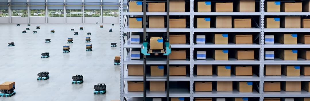 Gecko Miniload Material Handling Automation​