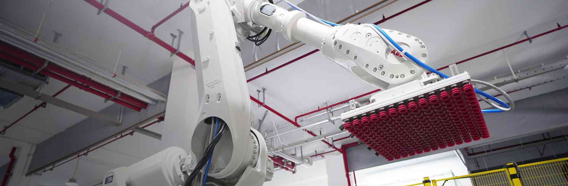 BlueSword  Robotic Palletizing