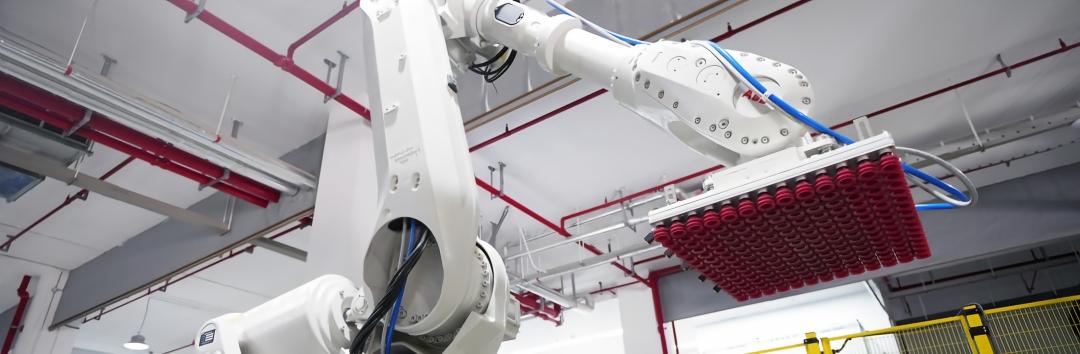 BlueSword  Robotic Palletizing